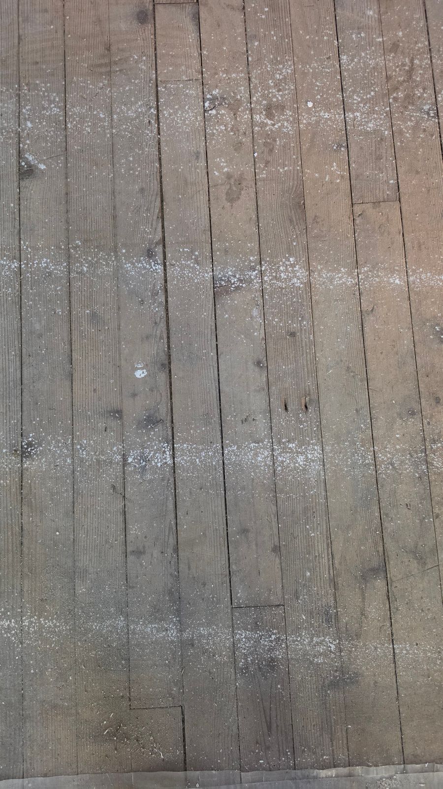 Detail of the original floorboards at SoHome Lausanne