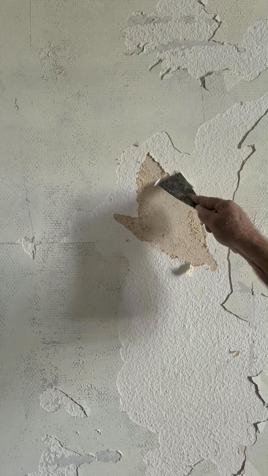Removing old plaster by hand during the Lausanne renovation
