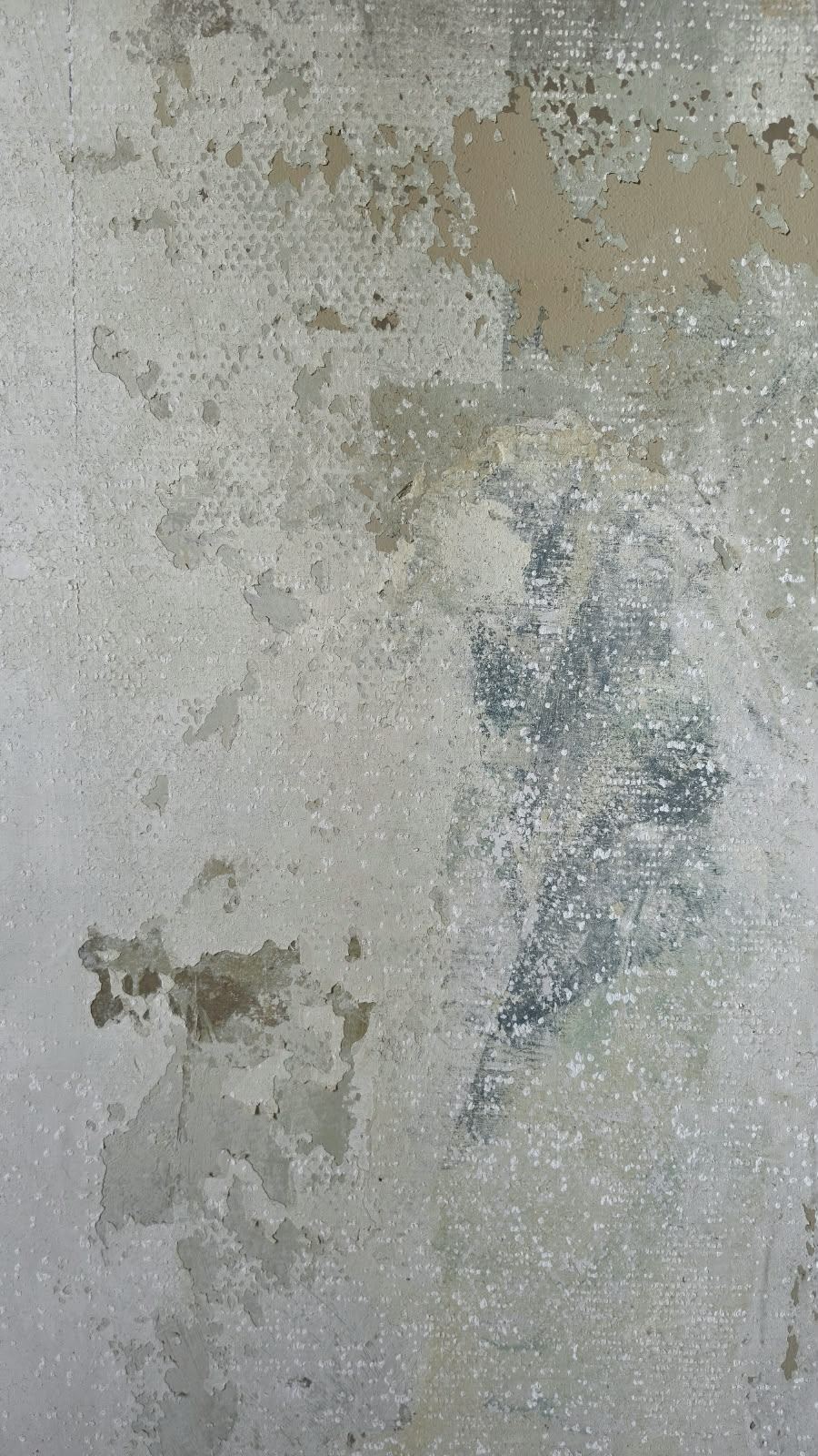 Layers of paint and plaster on an original wall at SoHome Lausanne