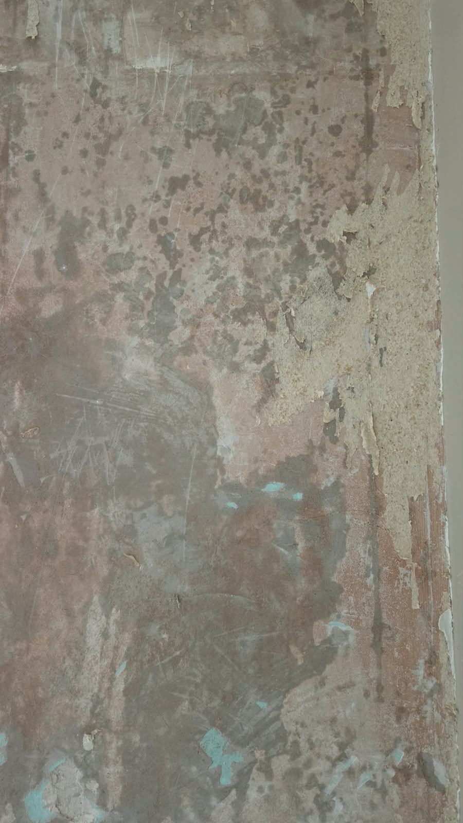 Original coloured wall finishes uncovered at SoHome Lausanne